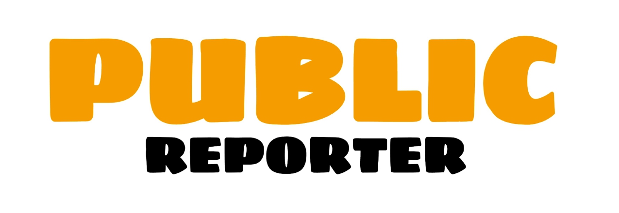 publicreporter.in