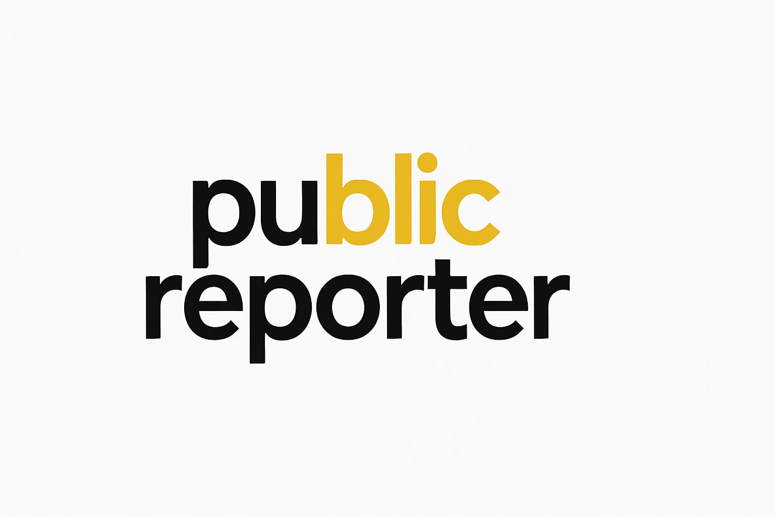 publicreporter.in