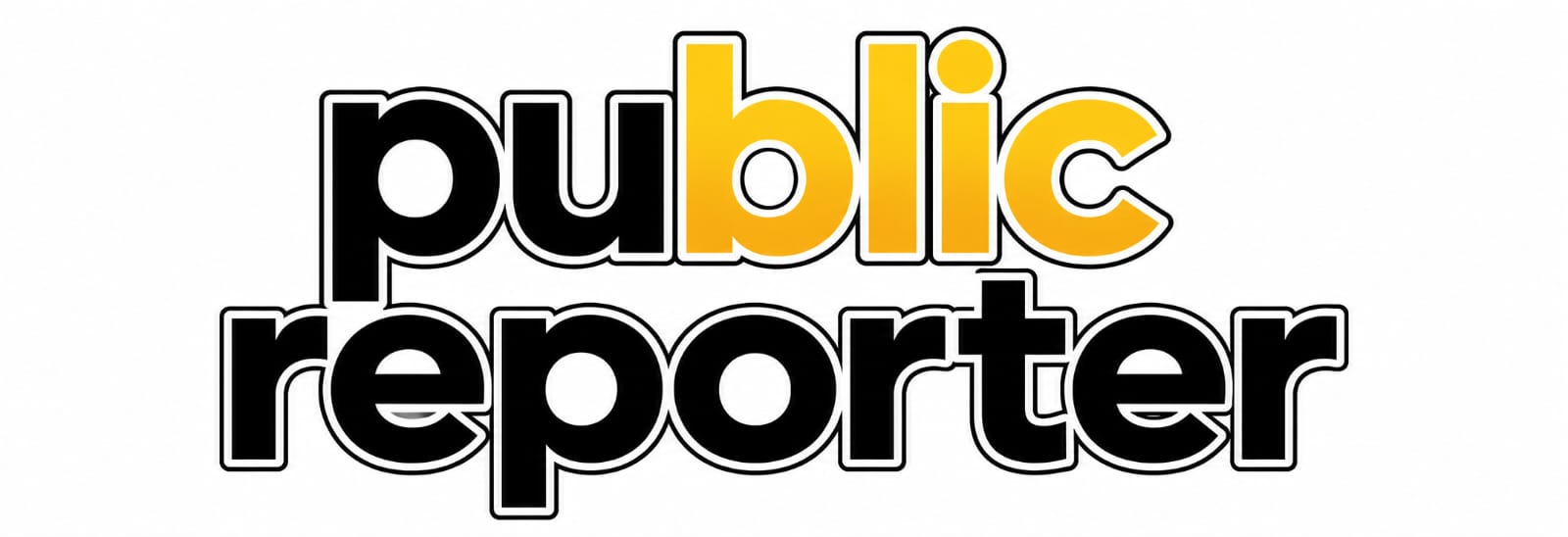 publicreporter.in
